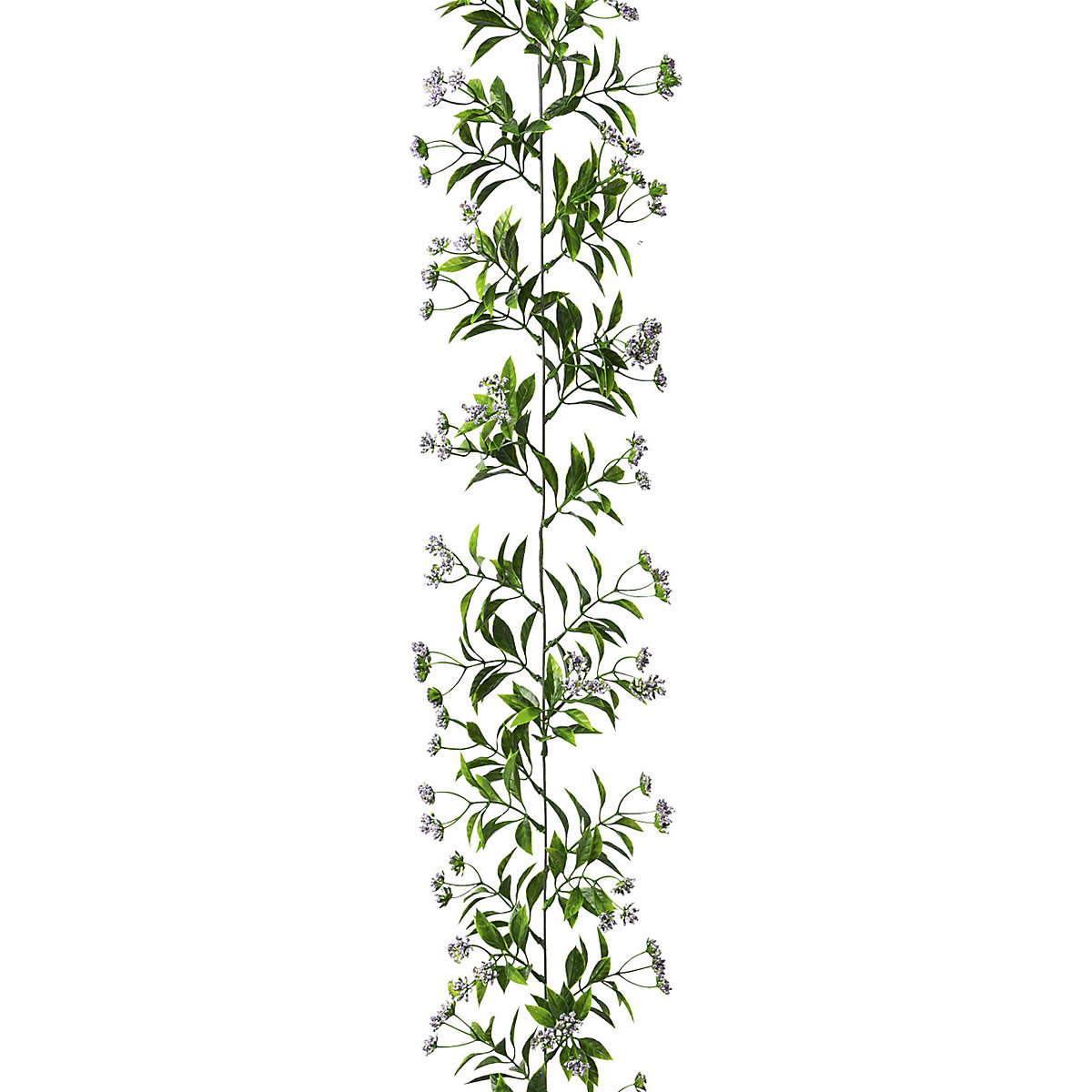 Ruscus garland (Product illustration 2)-1