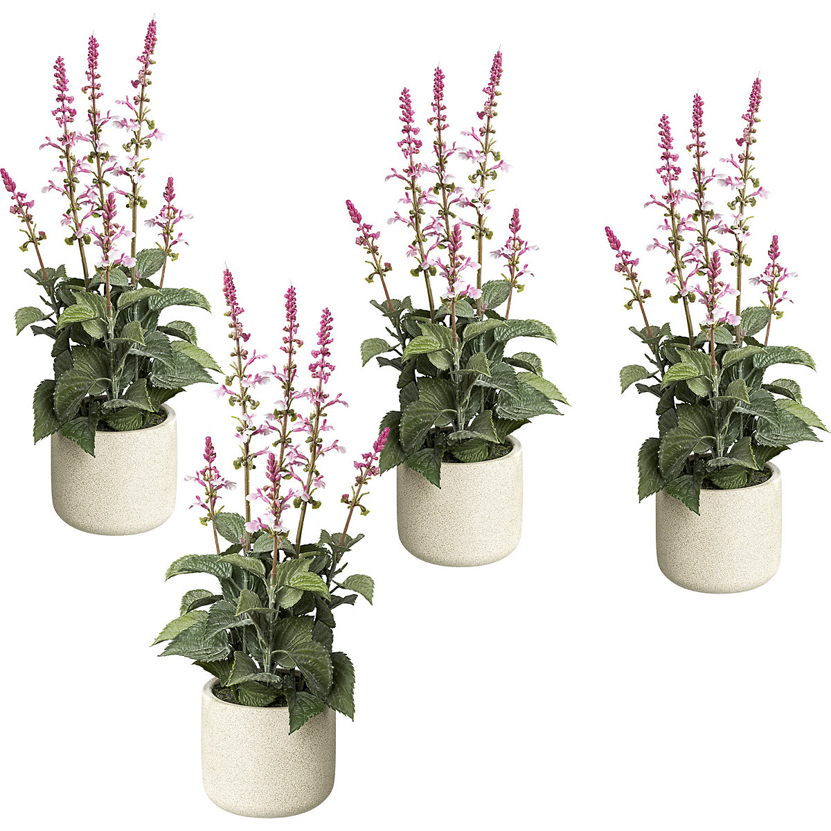 Salvia in a cement pot, pack of 4, height 450 mm, pink flowers-4