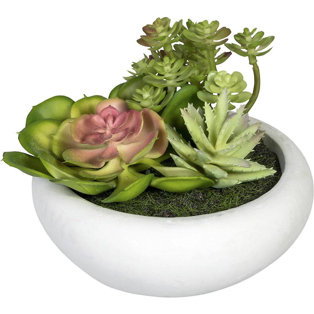 Succulent arrangement (Product illustration 2)-1