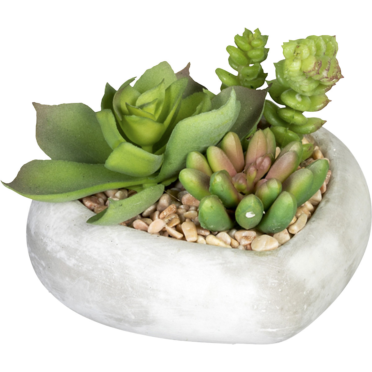 Succulent arrangement (Product illustration 3)-2
