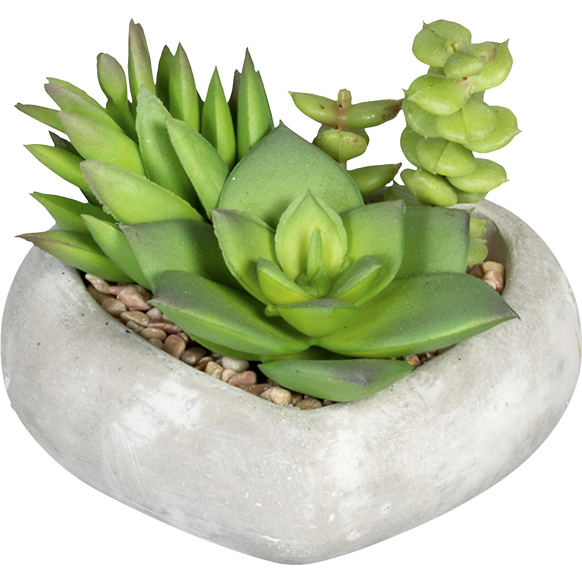 Succulent arrangement (Product illustration 4)-3