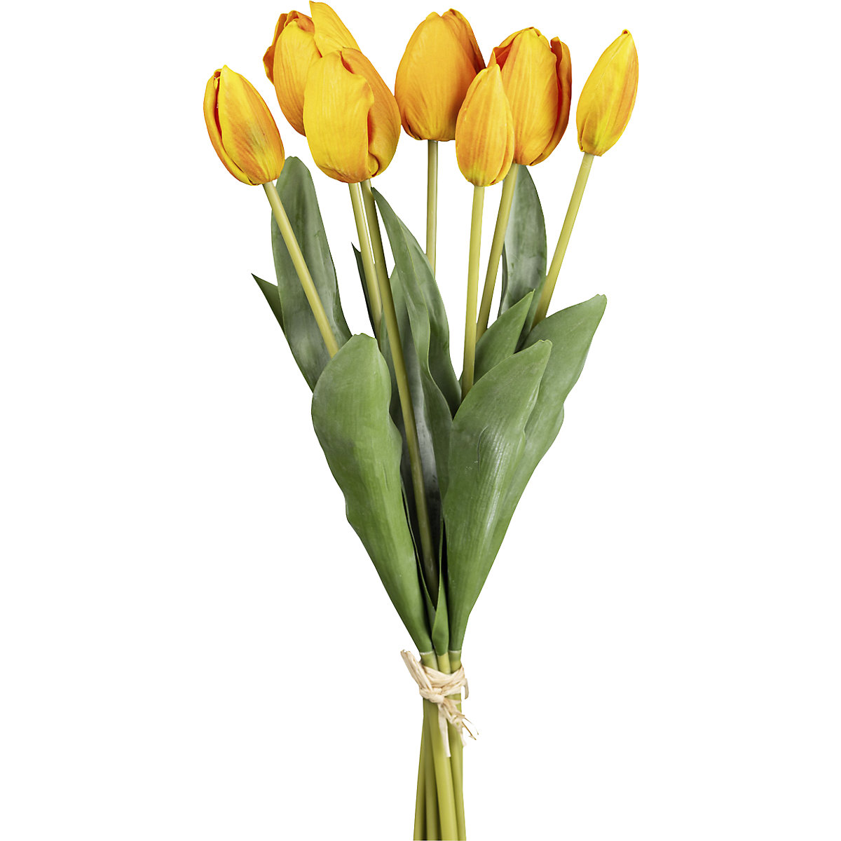 Tulip bouquet, bunch of 7 (Product illustration 2)-1