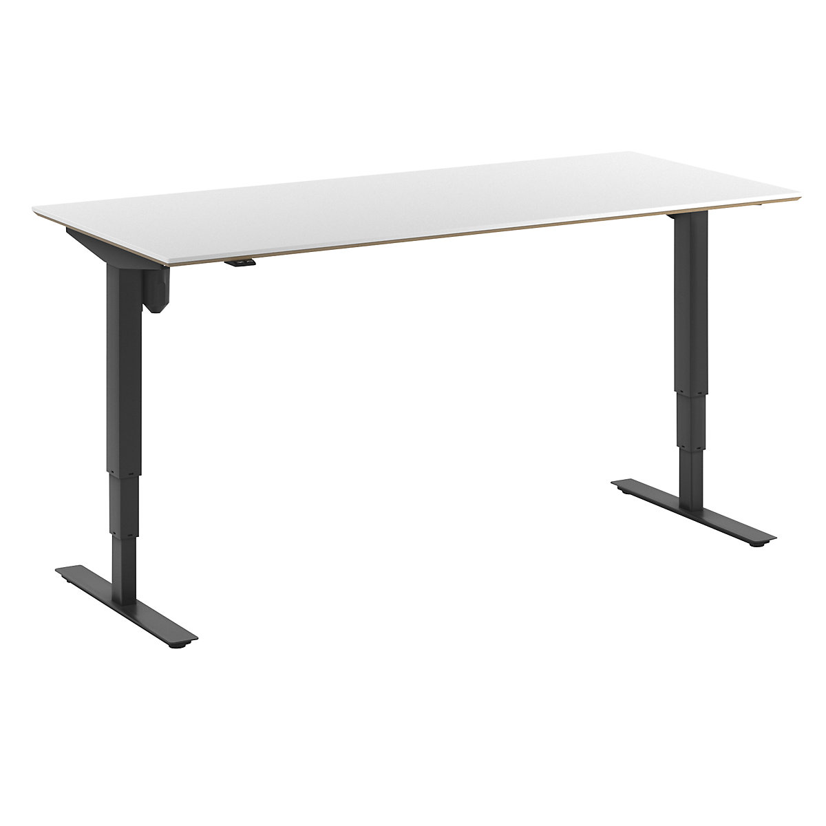 Atlanta Trend desk, electrically height adjustable