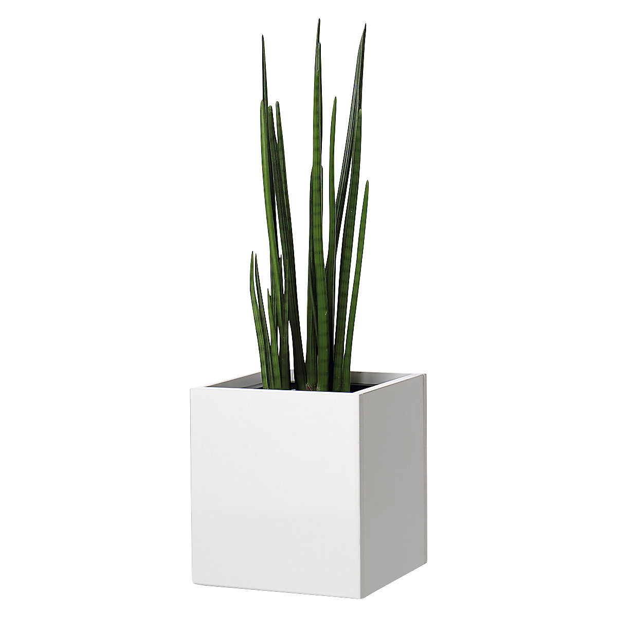 Recipiente para plantas (Imagen del producto 2)-1