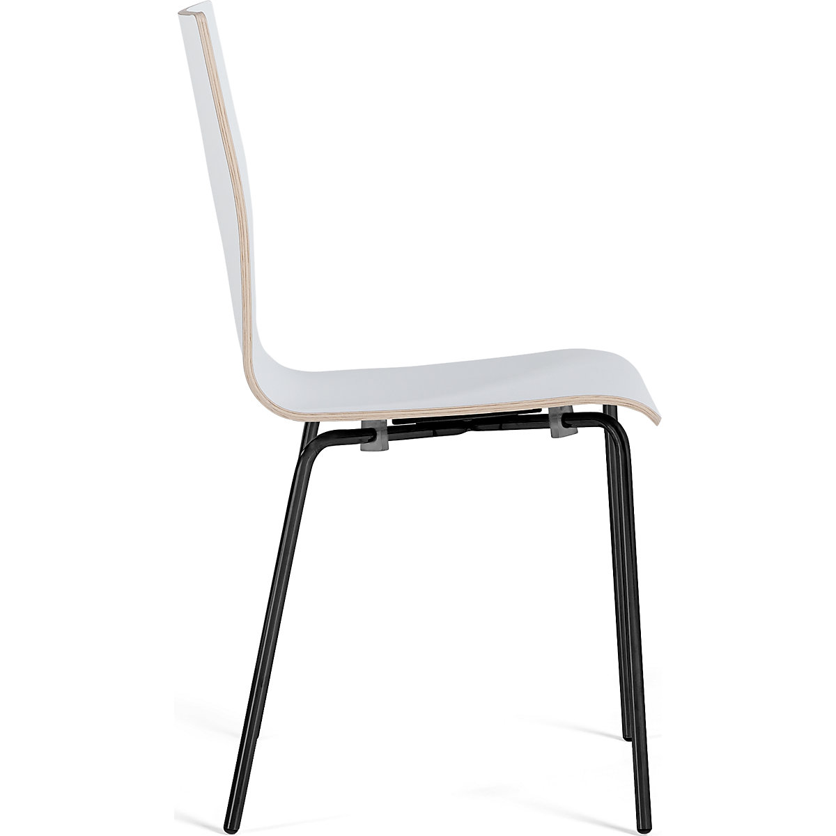 Silla de carcasa Alma (Imagen del producto 2)-1