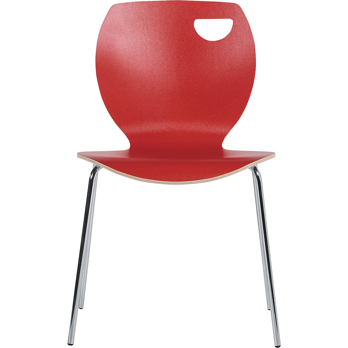 Silla de carcasa Laura (Imagen del producto 10)-9