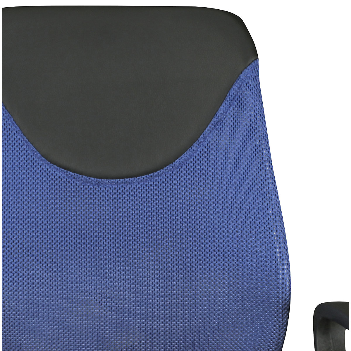 Silla de escritorio para niños TERNI (Imagen del producto 8)-7