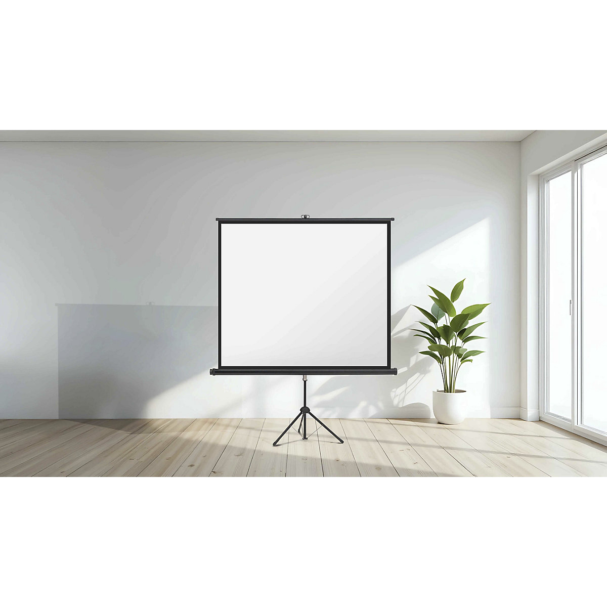 Pantalla con trípode – magnetoplan (Imagen del producto 7)-6