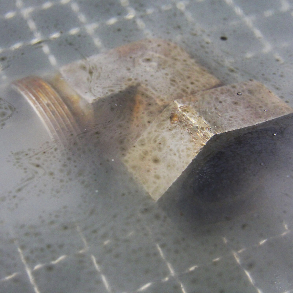 Ultrazvočno čistilo Derust Acid US Cleaner – Bio-Circle (Slika izdelka 3)-2