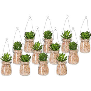 Sočnice, v 3 predelkih