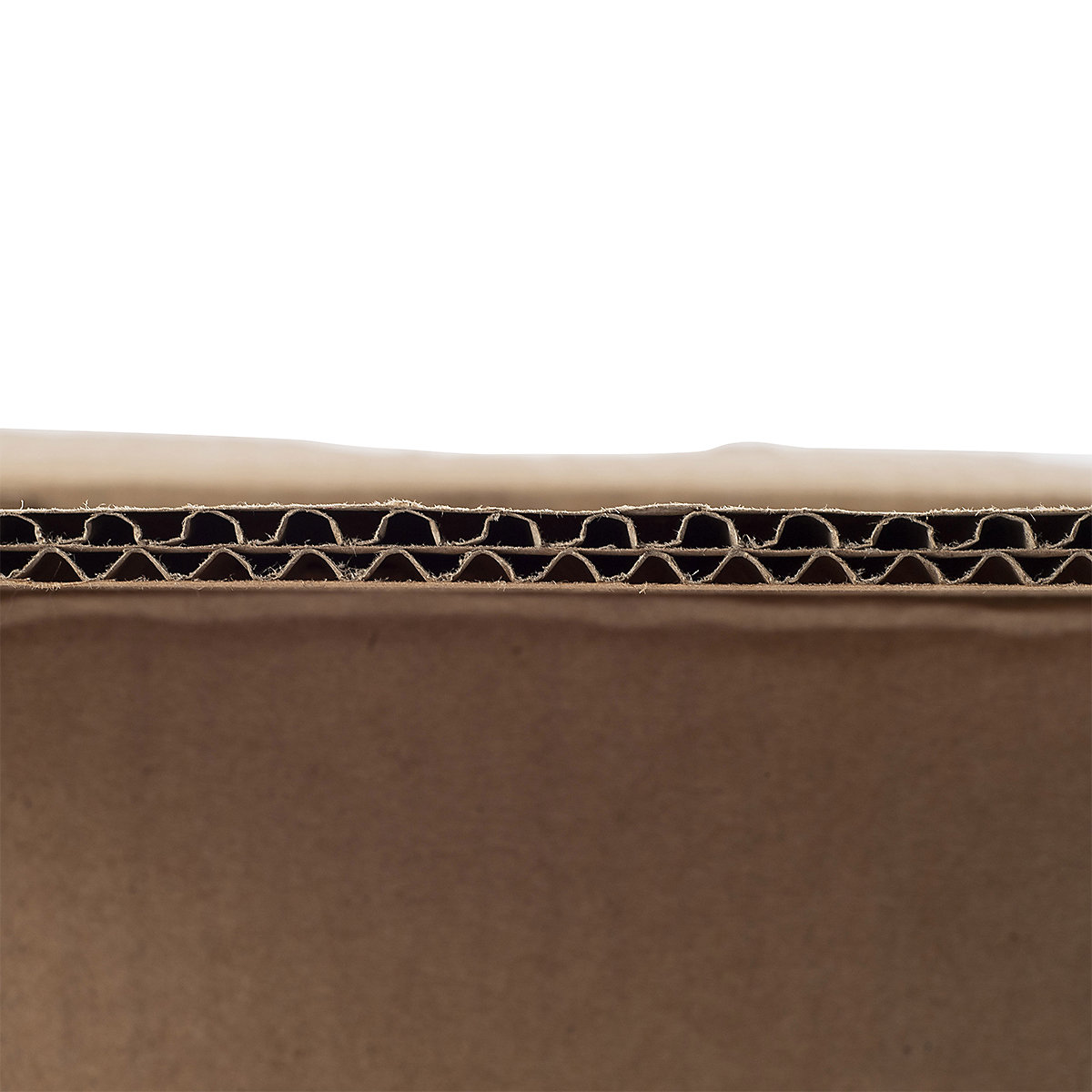 Beer Boxes (Product illustration 5)-4