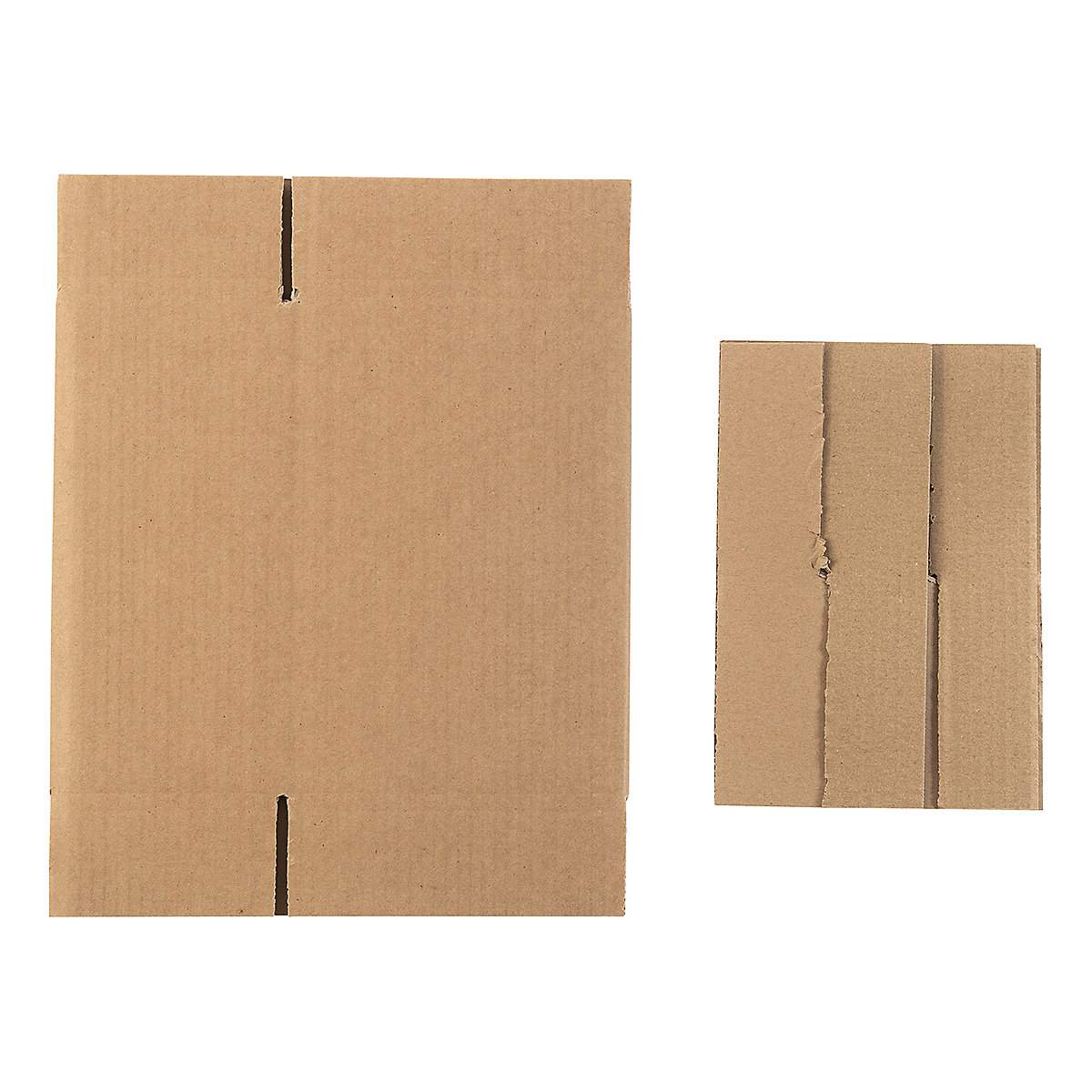 Beer Boxes (Product illustration 7)-6