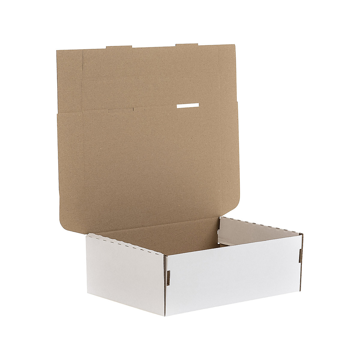 Shoe Boxes (Product illustration 2)-1