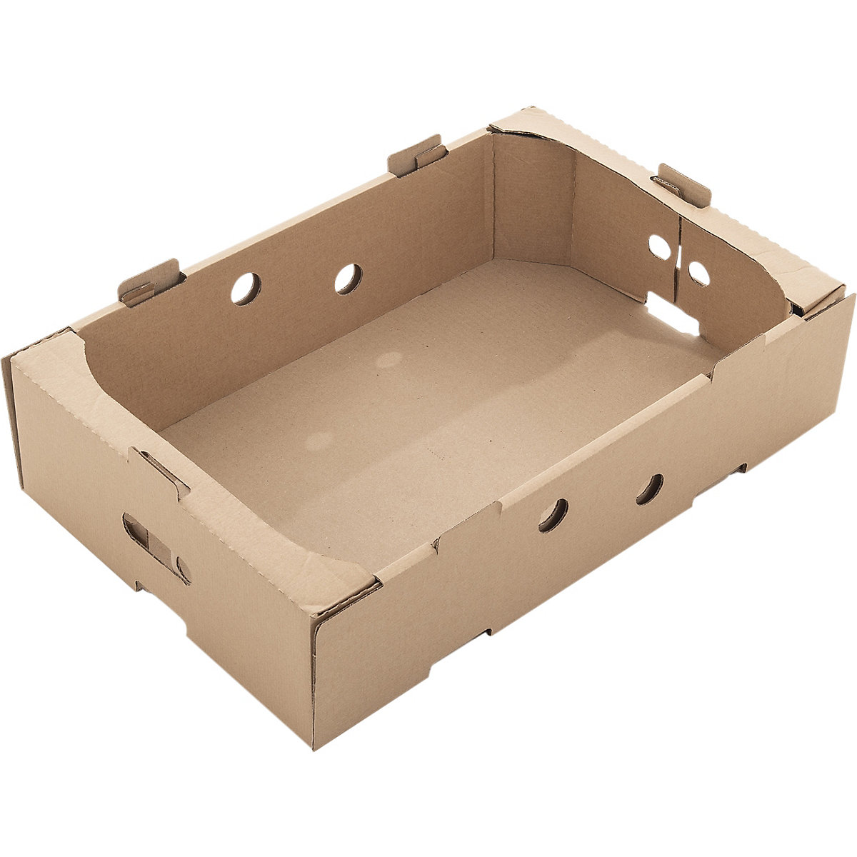 Cardboard Food Trays