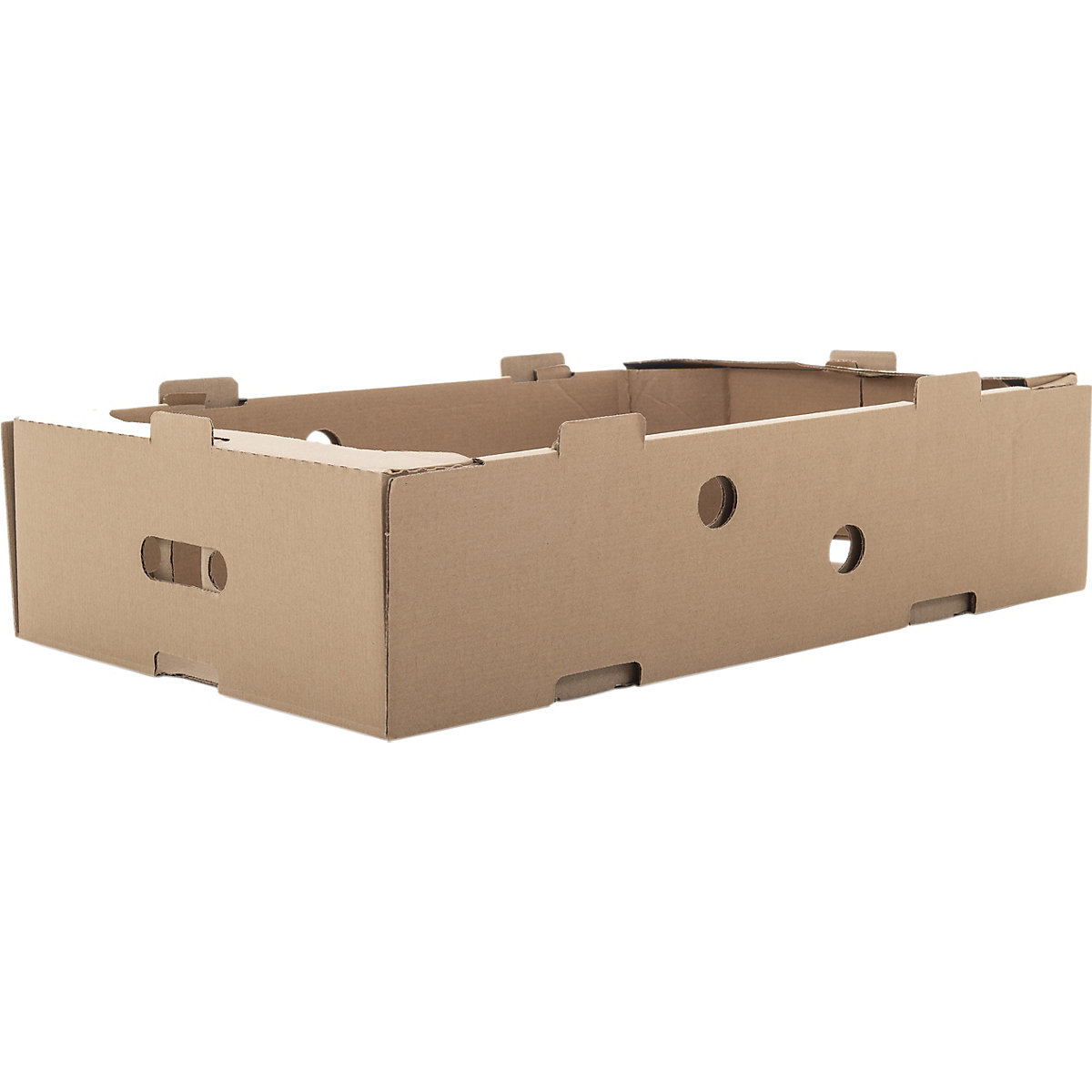 Cardboard Food Trays (Product illustration 2)-1