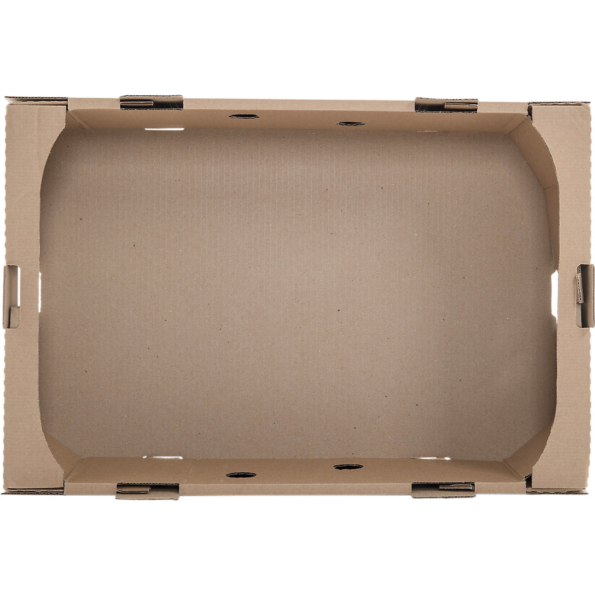 Cardboard Food Trays (Product illustration 5)-4