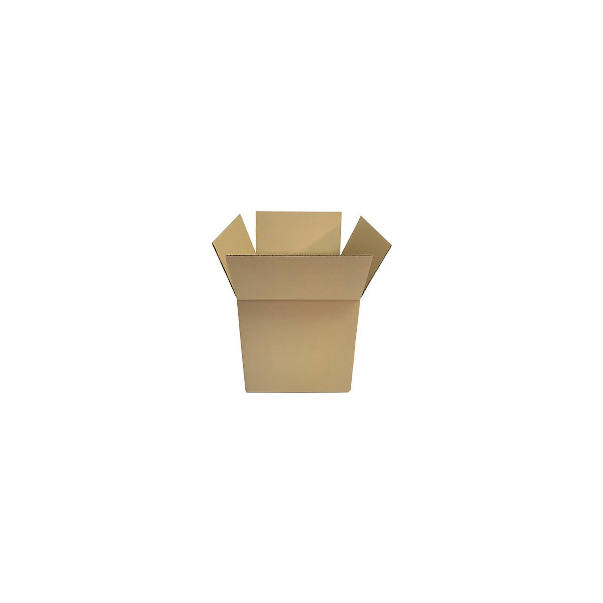 BiGDUG Essentials Economy Double Wall Cardboard Boxes