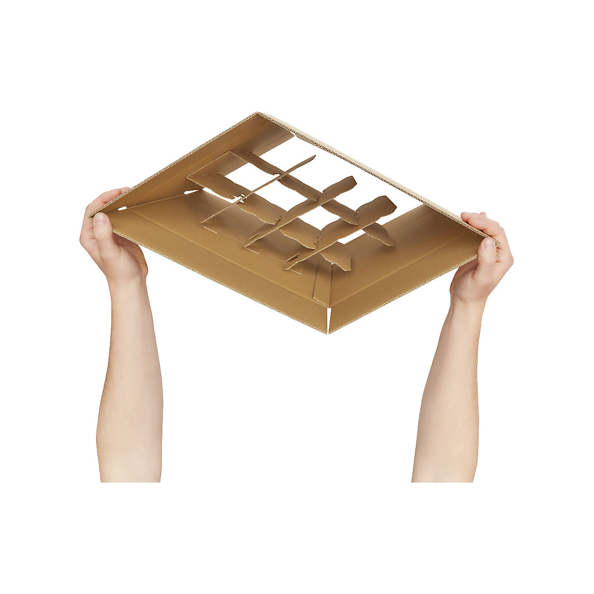 Wine bottle box for 12 bottles – ratioform (Product illustration 2)-1