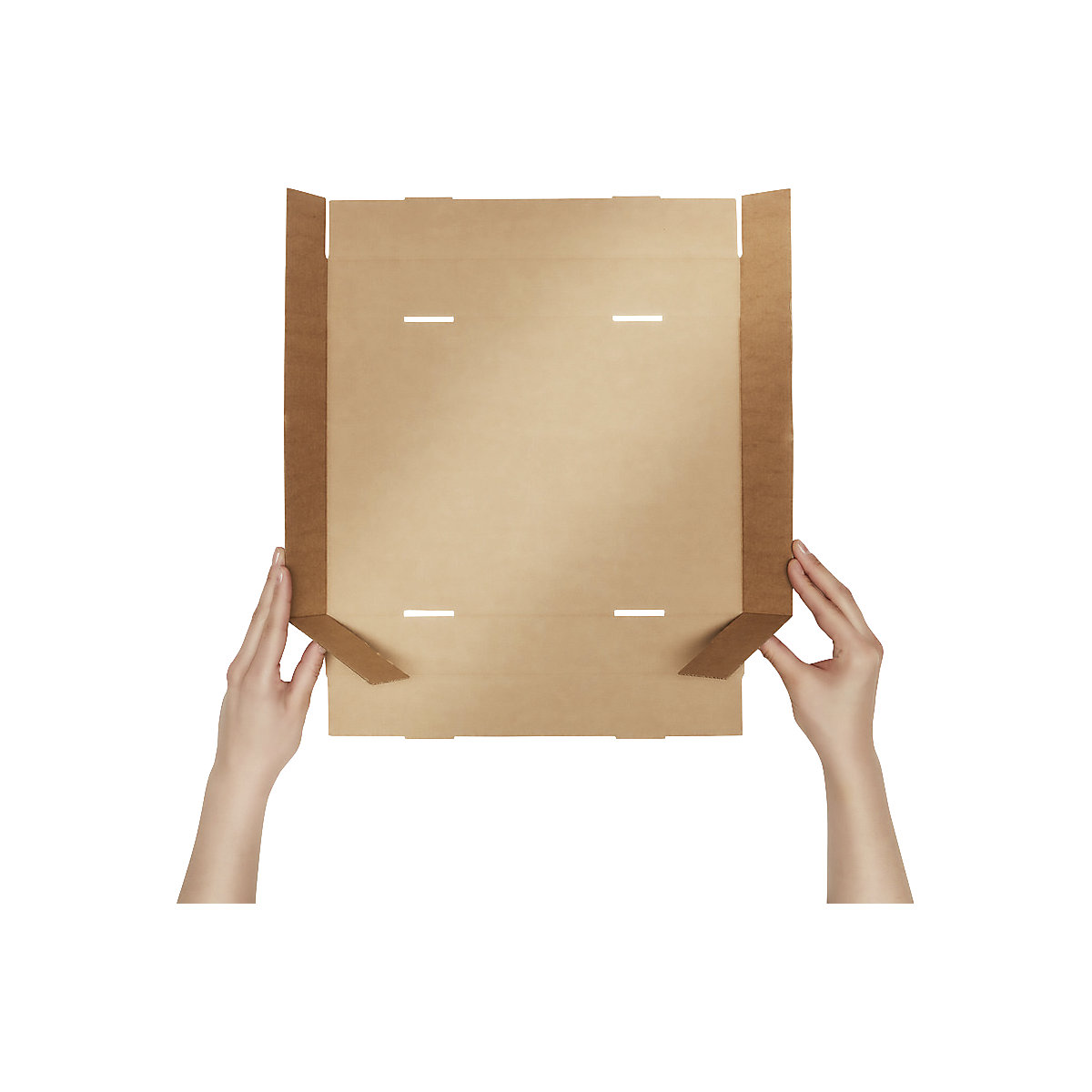 Cardboard box with push-on lid – ratioform terra (Product illustration 3)-2