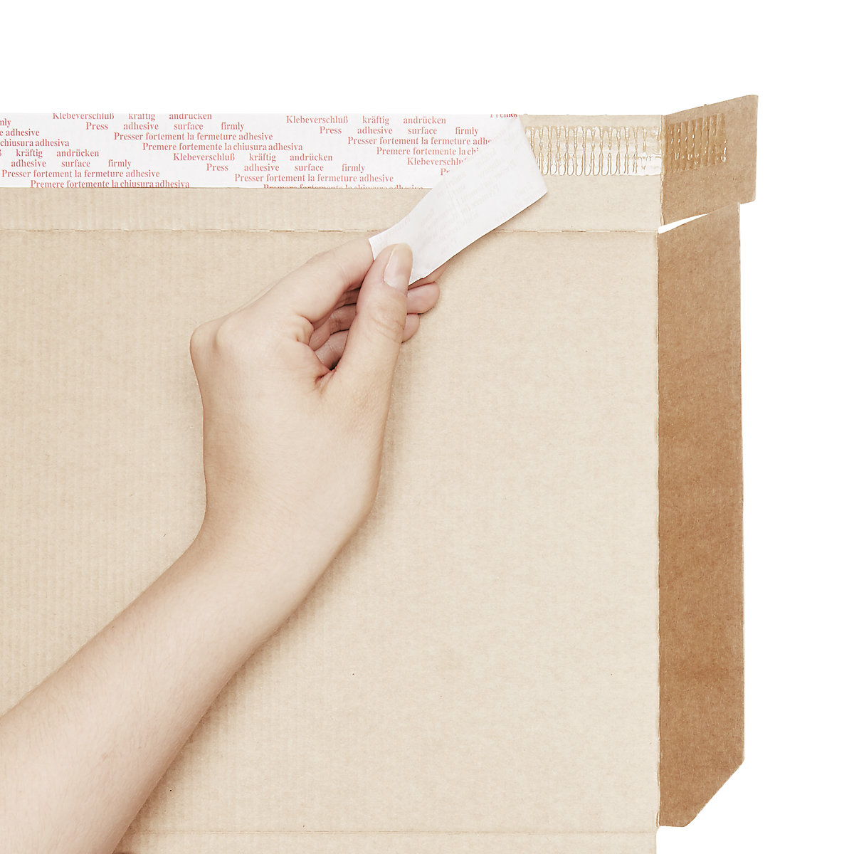 Folding box – ratioform (Product illustration 2)-1