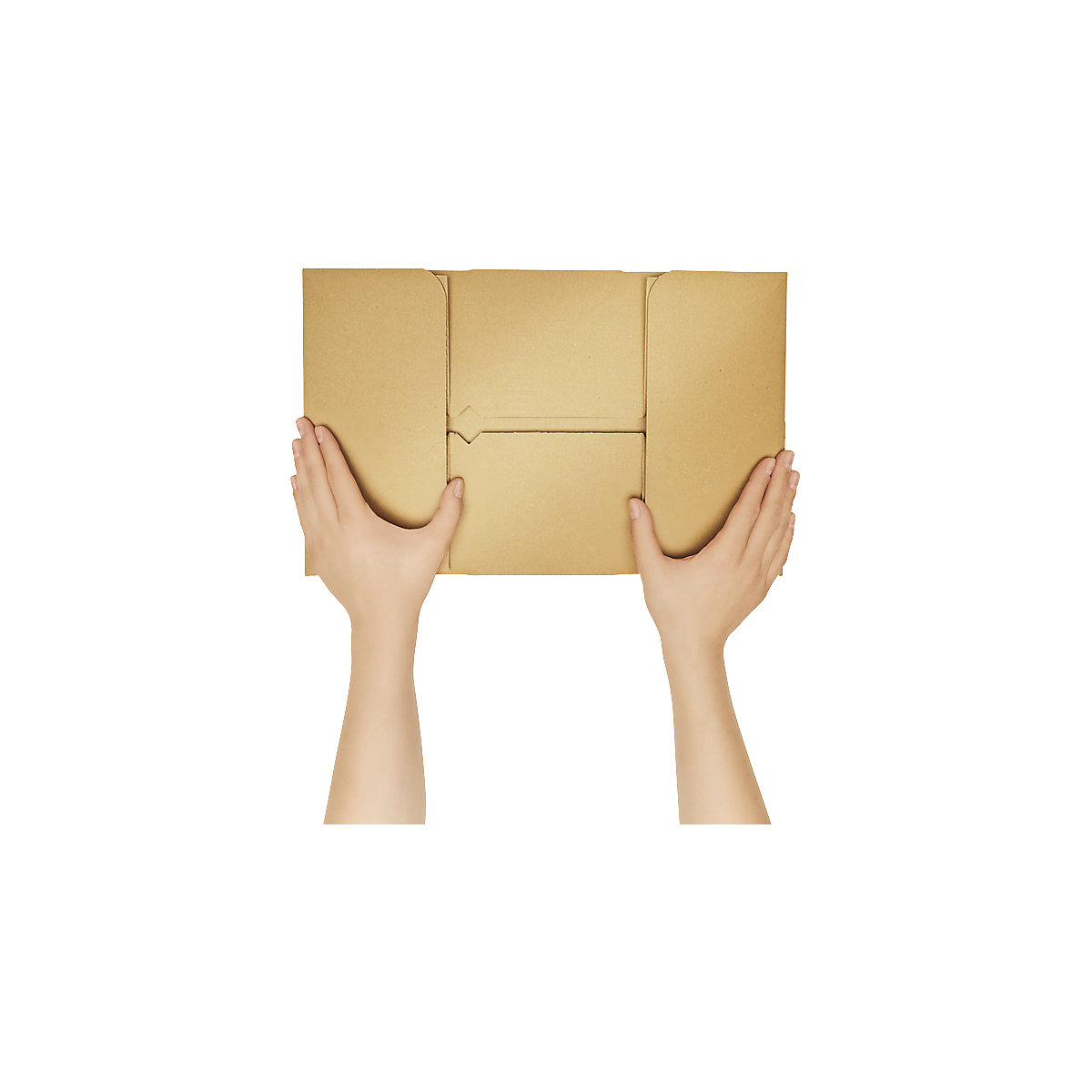 Pick-to-carton box, small – ratioform (Product illustration 3)-2