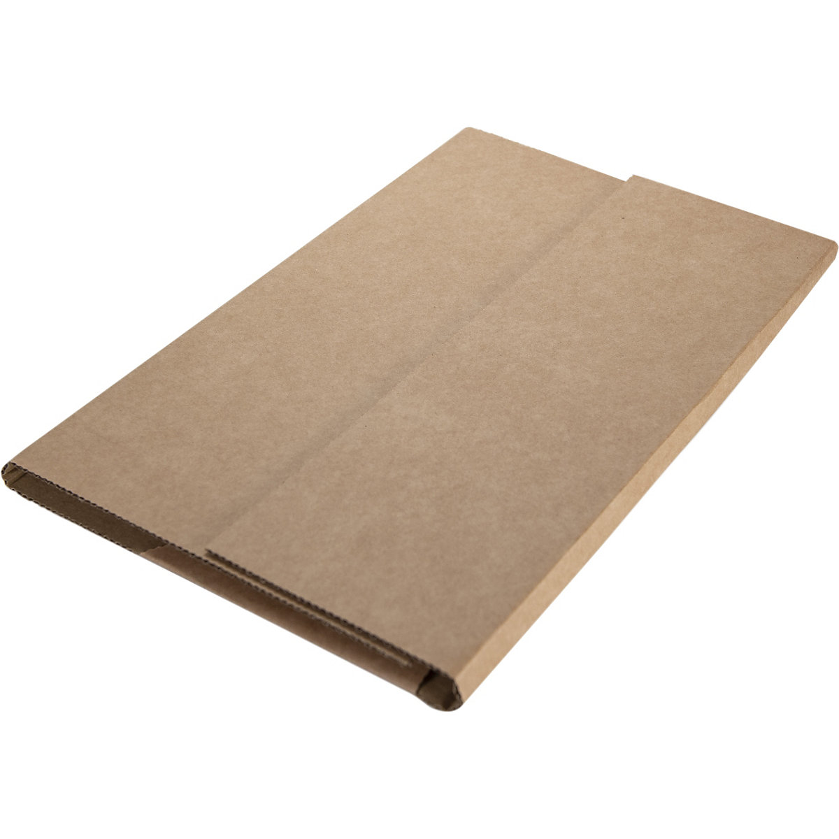 BiGDUG Essentials Book Shipping Boxes with Adhesive Strip