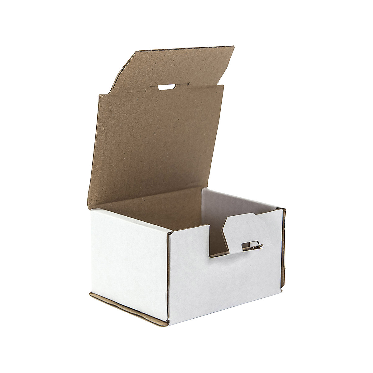 BiGDUG Essentials White Postal Boxes