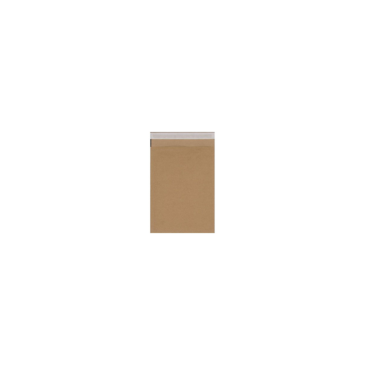 BiGDUG Essentials Combelope Padded Mailers