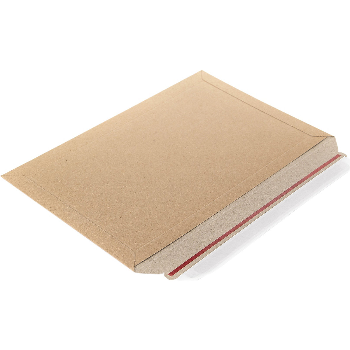 BiGDUG Essentials econoPOST Card Mailers