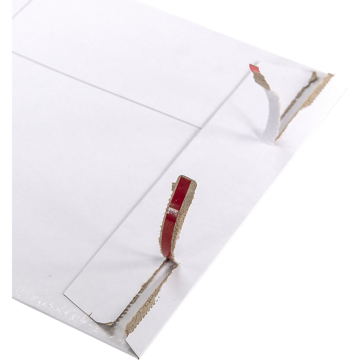Board Backed Envelopes (Product illustration 6)-5