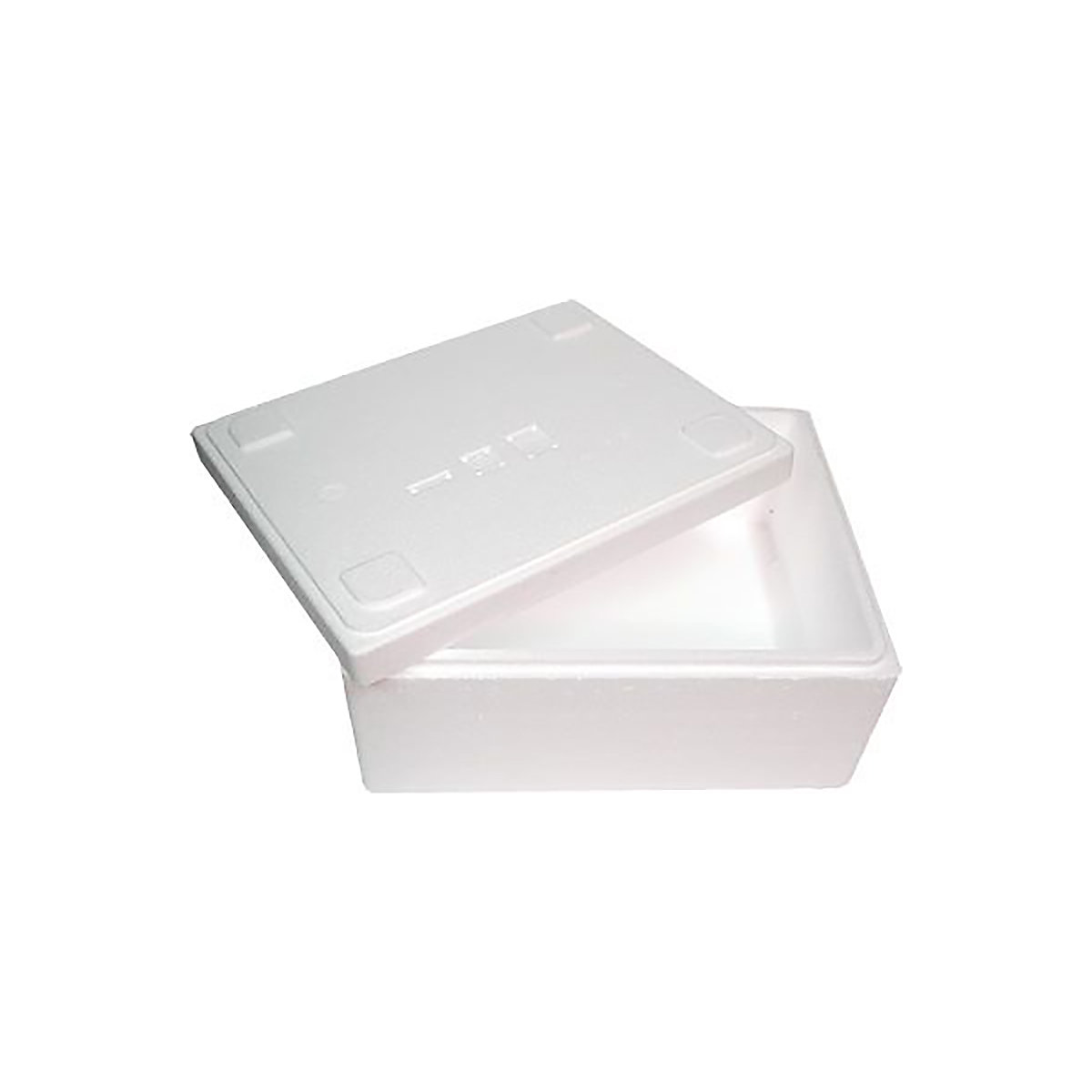 Cooler Shipping Box with Outer Cardboard Sleeve (Product illustration 2)-1