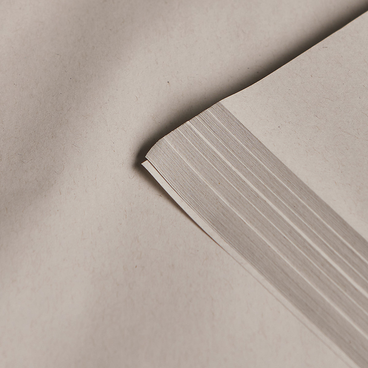 White Newspaper Offcuts