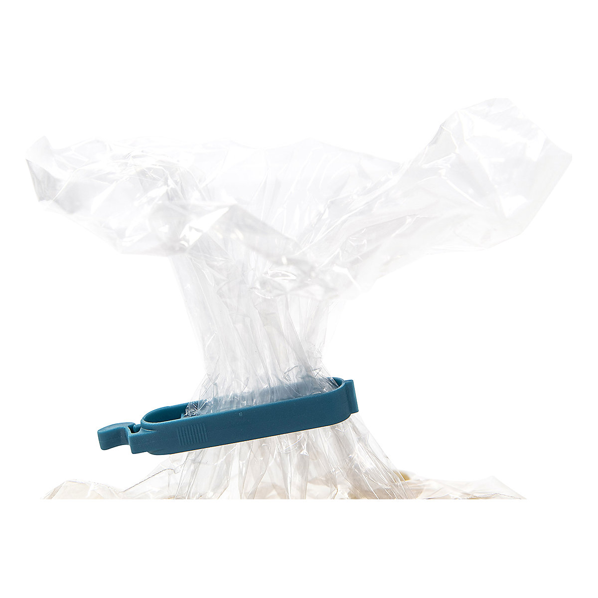 Poly Bags 100g (Product illustration 4)-3