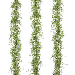 Guirlande van asparagus