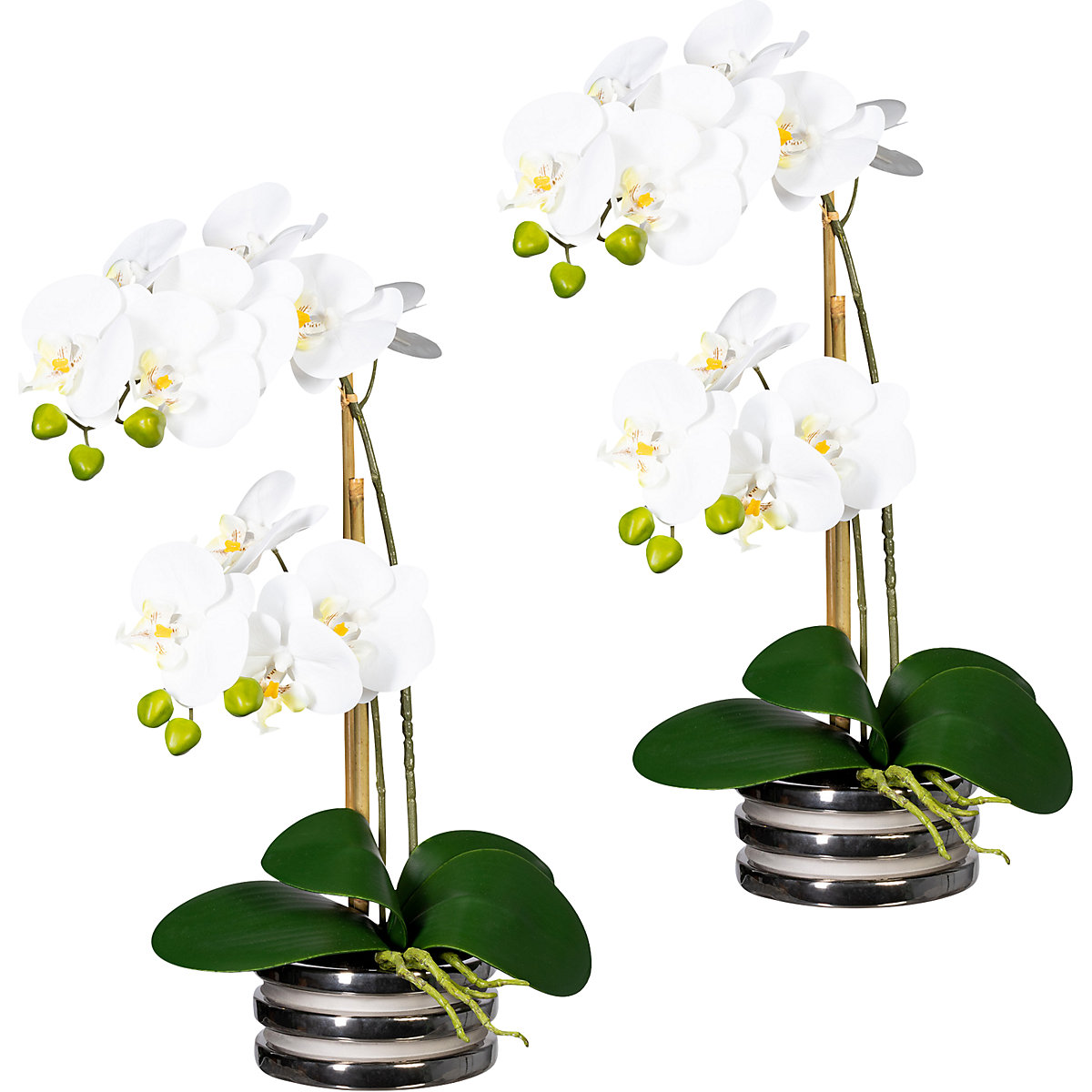 wagon Zakje huis Orchidee Phalaenopsis, real touch: in een keramische schaal, VE = 2 stuks |  KAISER+KRAFT België