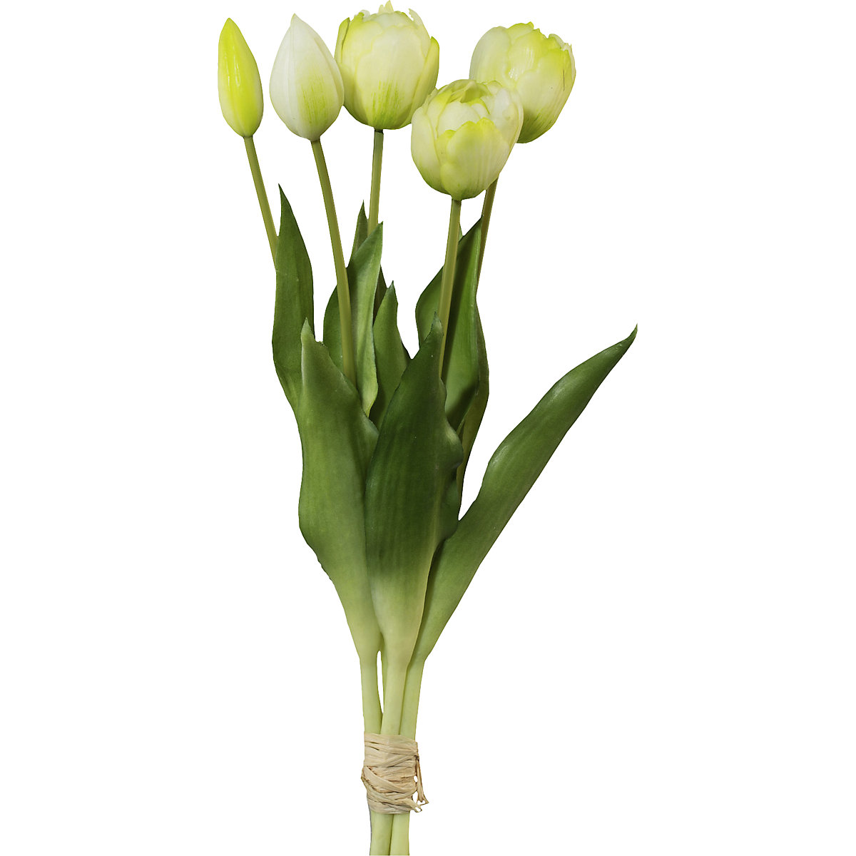 Tulipani s polnimi cvetovi, naraven videz, 5-delni šopek (Slika izdelka 2)-1