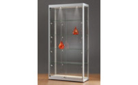 Vitrine, BxTxH 1000 x 400 x 2000 mm