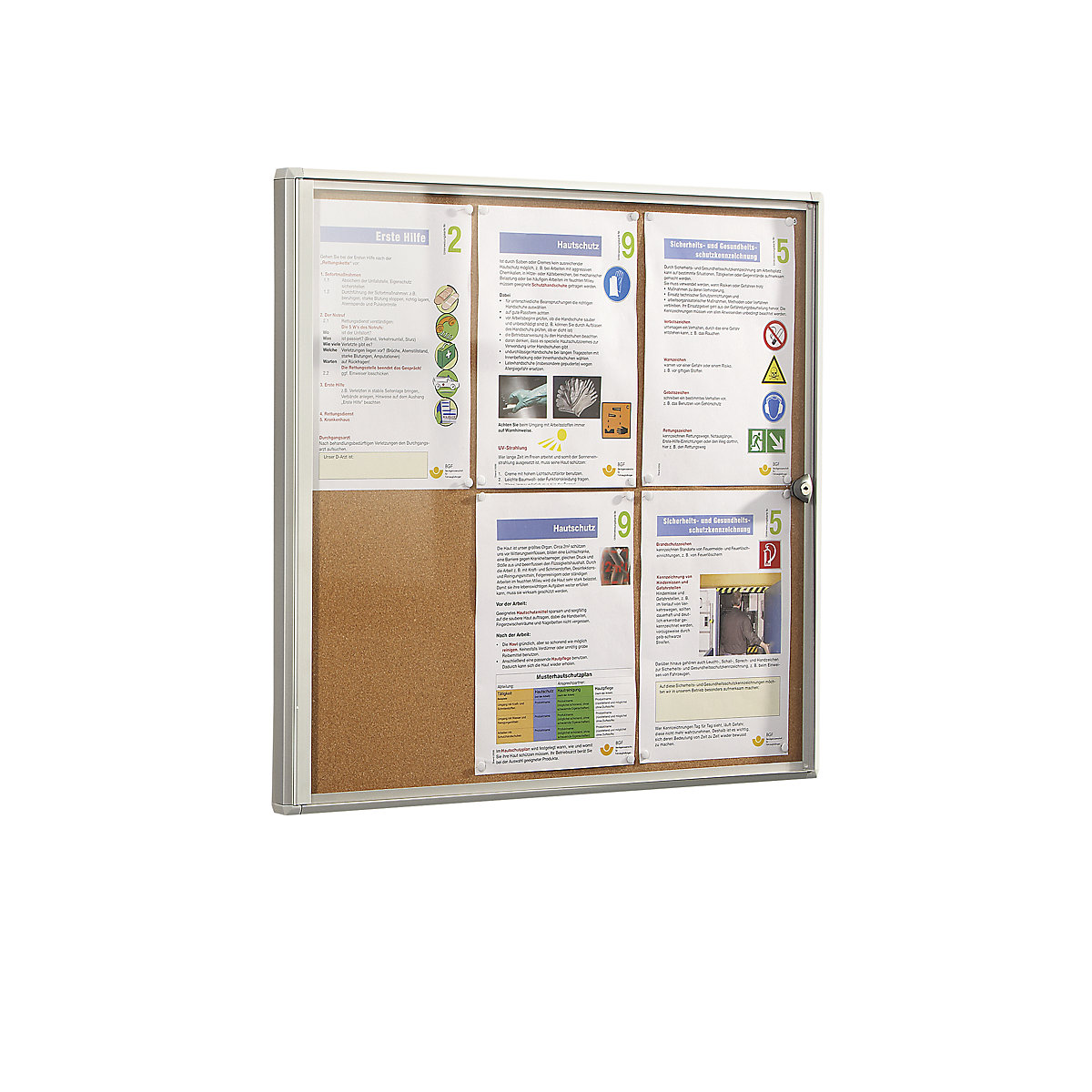 Informacijska vitrina za uporabo v prostorih – eurokraft basic, plutovinasta zadnja stena, 6 x DIN A4, VxŠ 655 x 711 mm, od 5 kosov-1