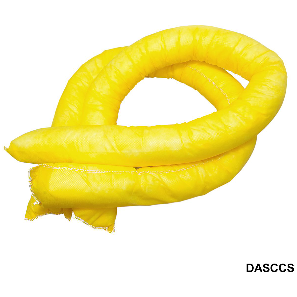 DASCCS_1