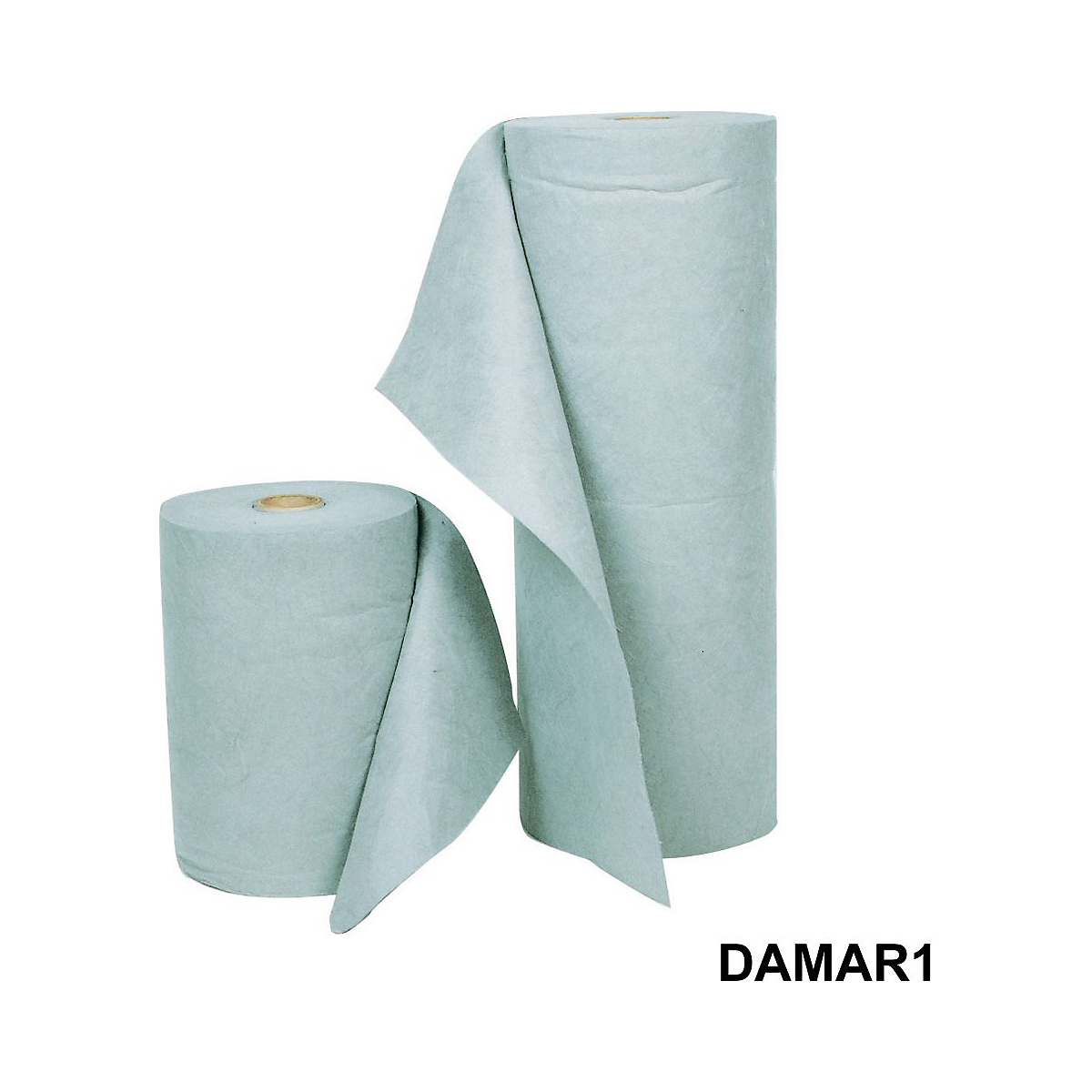 DAMAR1_1