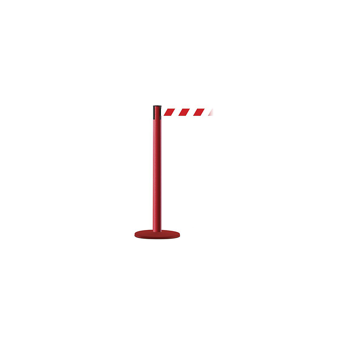 TNIBR_1