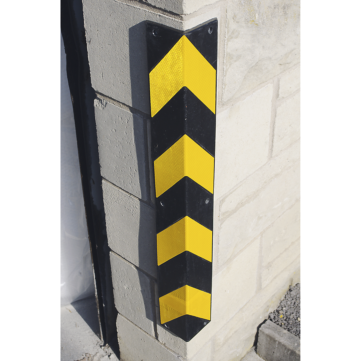 MCPS_1