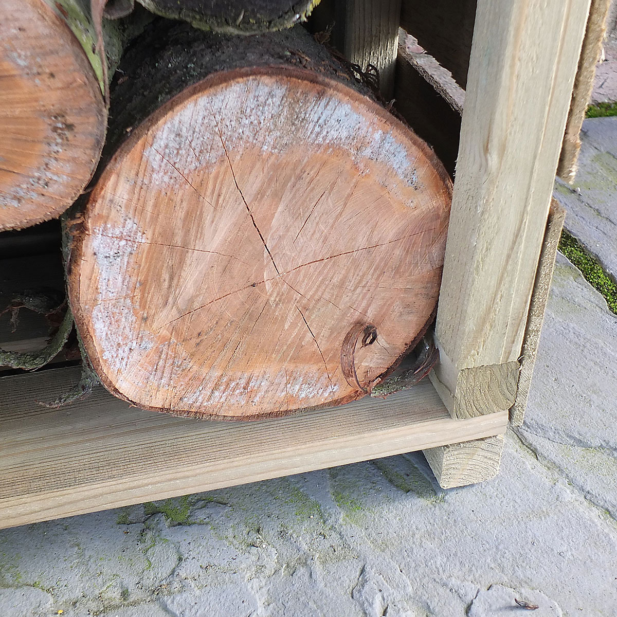 Shire Tall Wall Log Store | Sawn | Pressure Treated (Product illustration 6)-5