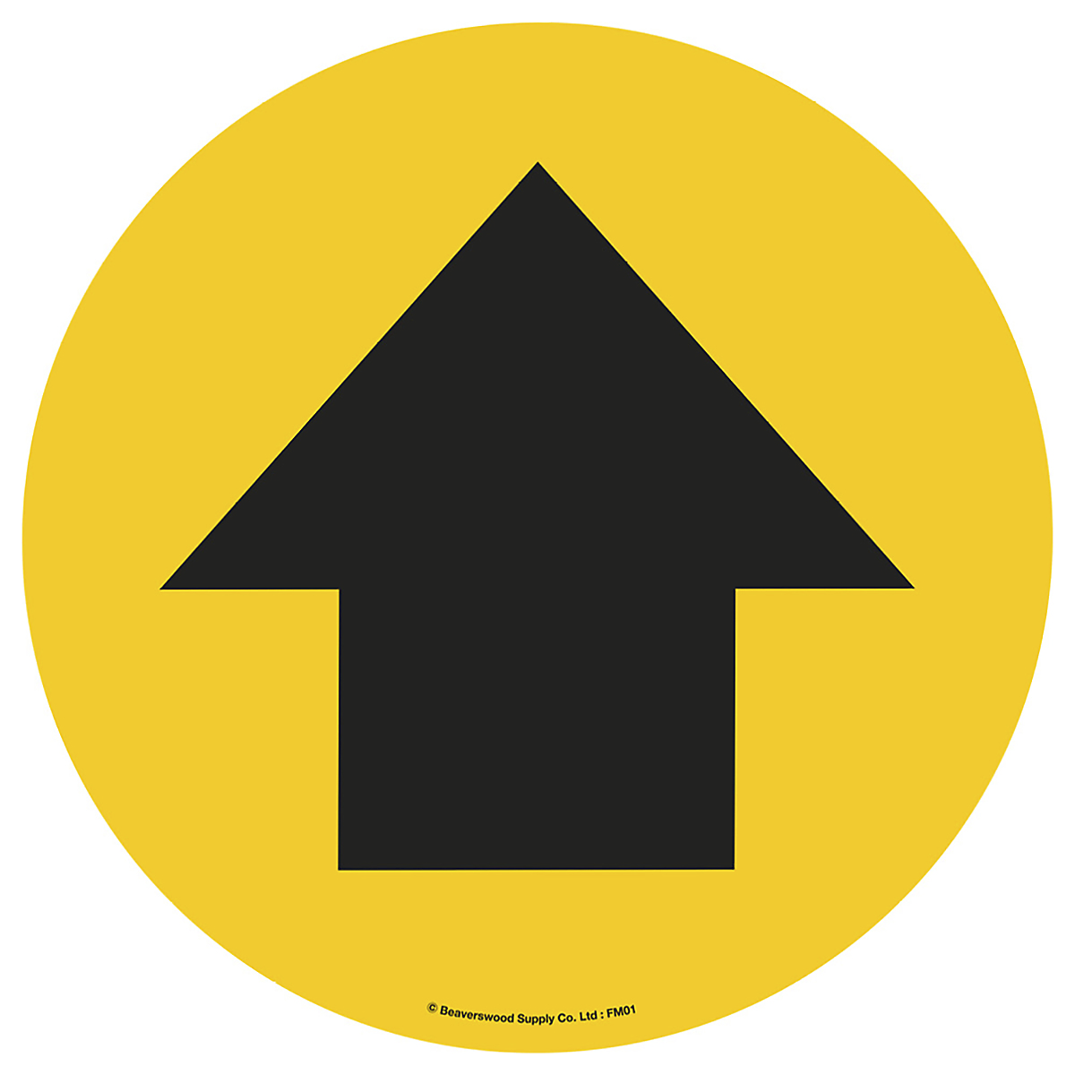 FM01_1