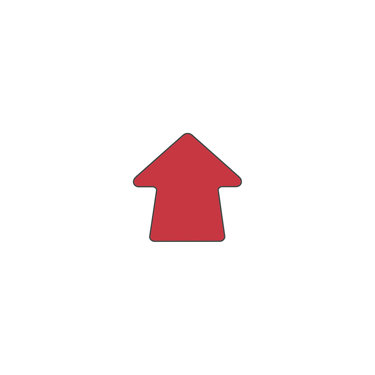 FSAR_1