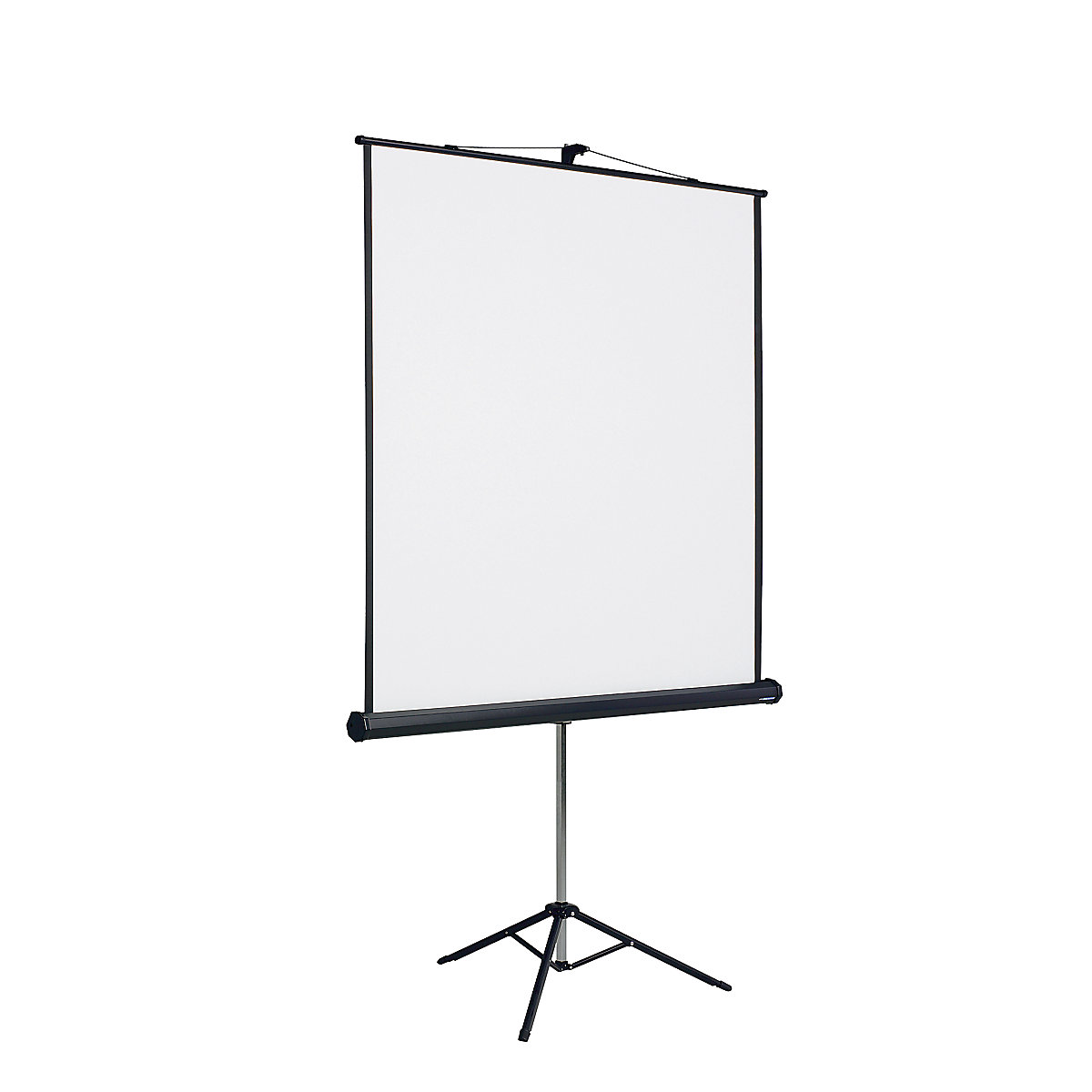 Projection screen with stand