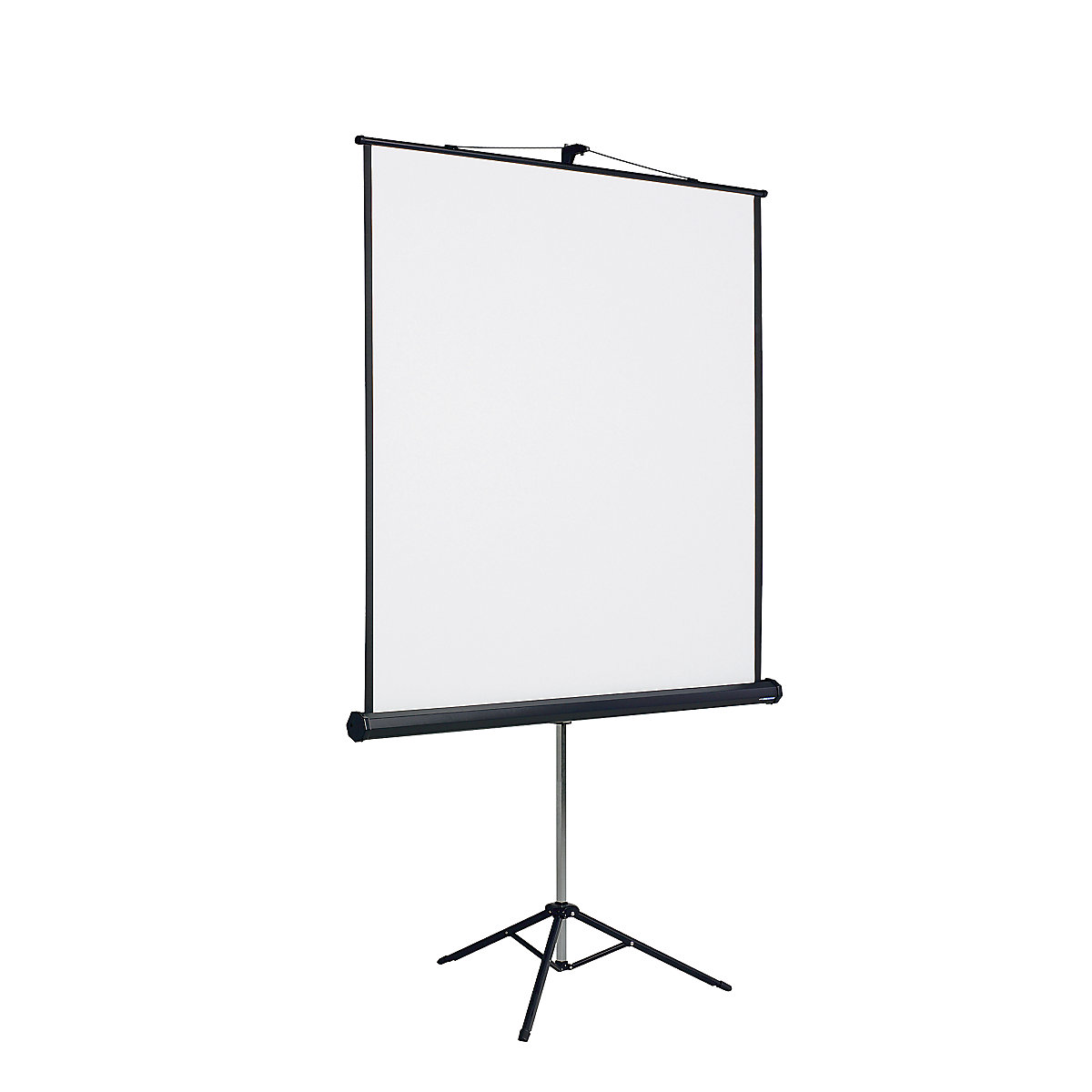 Projection screen with stand 43 projection format kaiserkraft