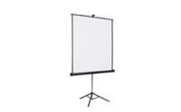 Projection screen with stand