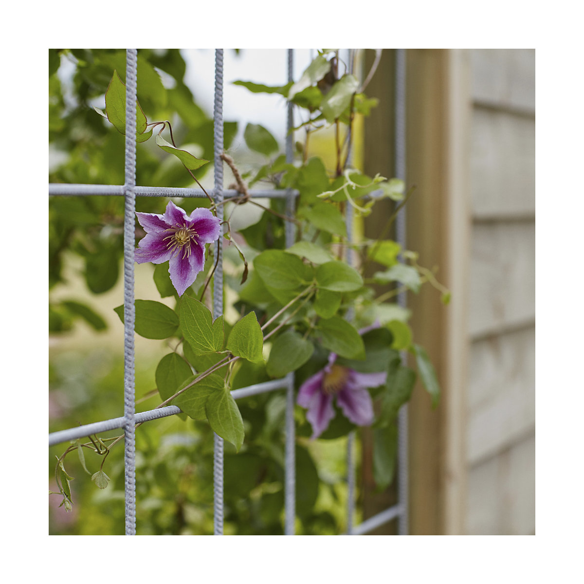 Gard profilat PLUS Klink (Imagine produs 2)-1