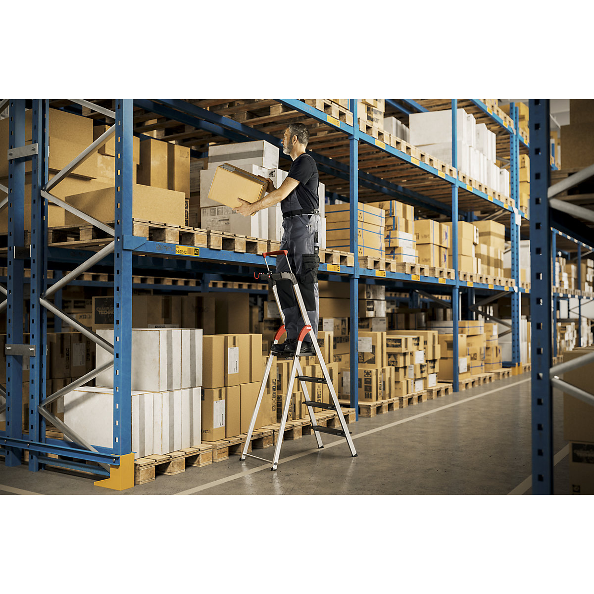 Scala di sicurezza TopLine L100 – Hailo (Foto prodotto 2)-1